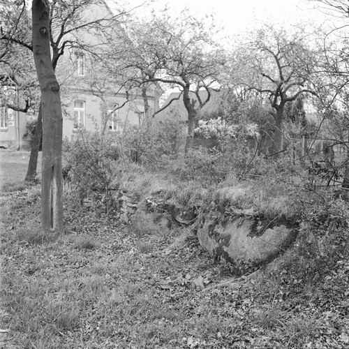 Reste des Megalithgrabes Westerkappeln-Seeste 1968 (Foto:LWL-Archäologie/Rochna).