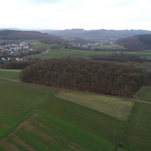 Luftbild des Burggrabens von Osten (LWL-AfW/Müller-Delvart).