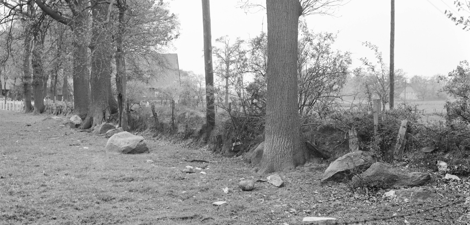 Fundlage der noch vorhandenen Findlinge im Jahr 1968 in der Weide an der Böschung (Foto: LWL-Archäologie/O. Rochna)
